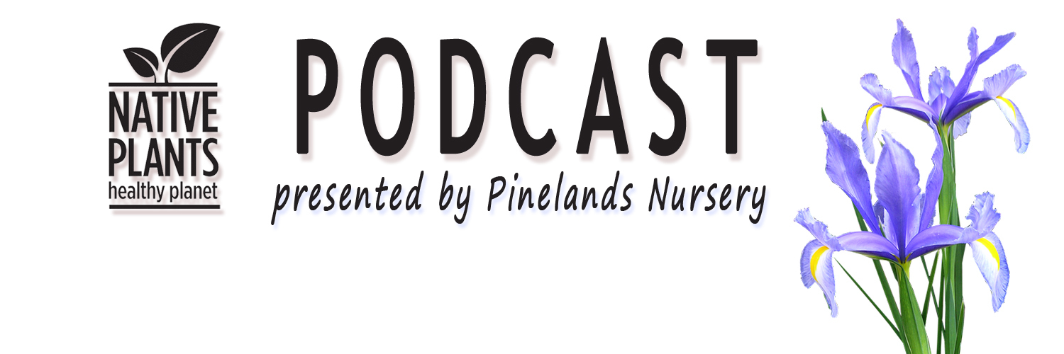 Native Plants, Healthy Planet presented by Pinelands Nursery