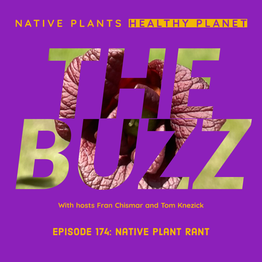 The Buzz - Native Plant Rant