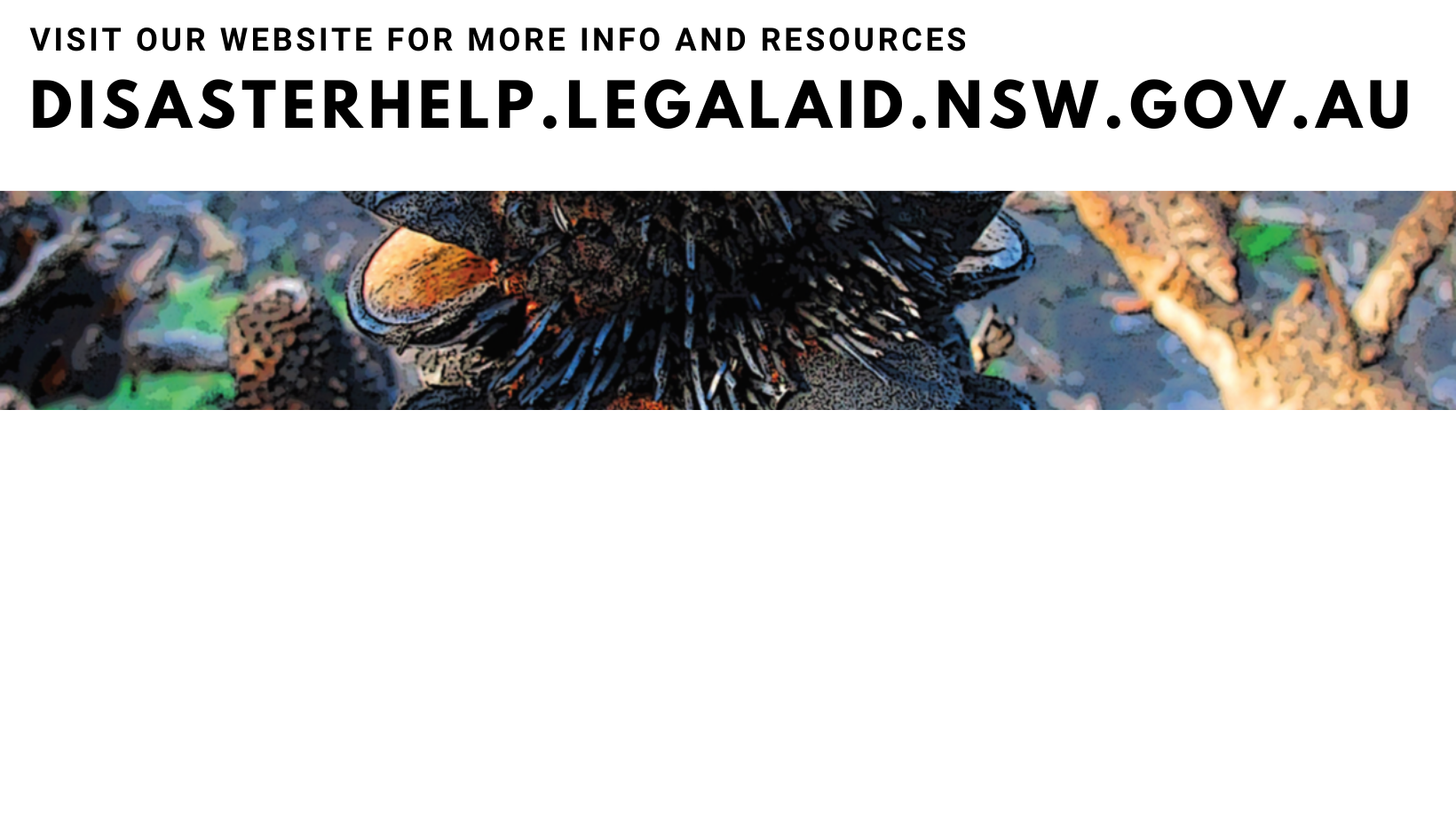 Disaster Response Legal Service NSW - training package
