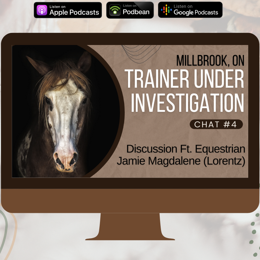 Chat #4 - Millbrook Horse Abuse Case | Discussion Ft. Jamie Magdalene | Hold Your Horses